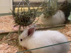 -龙猫仔乐园(惠福东路店)