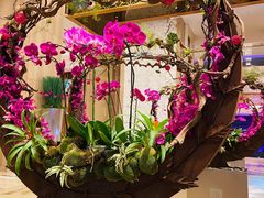 -广州粤海喜来登酒店