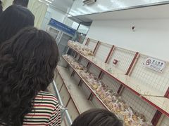 -中关村茶点