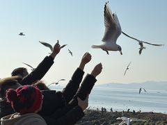 -来之顺海鲜菜馆·青岛菜·始于1993(栈桥店)