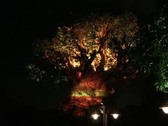 -奥兰多迪士尼动物王国乐园