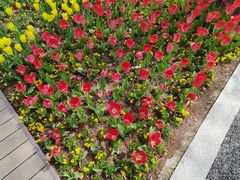 -东平国家森林公园