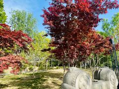 -莲花池公园
