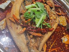 -肥家大排档(天河体育西店)