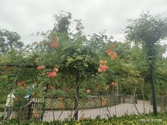 -嘉北郊野公园