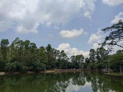 -大雁山风景区