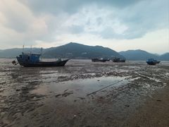 -北岐滩涂