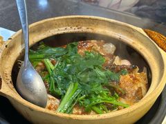 -熠盛粤味·顺德桑拿鸡(永康路店)