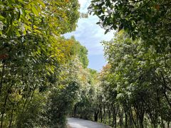 -雨花胜境