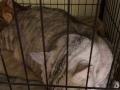 -H立方实景剧情密室(天河旗舰店)