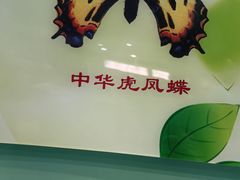 -上海昆虫博物馆