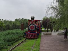 -永定河休闲森林公园