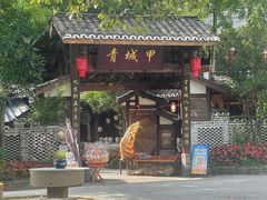 -青城甲(青城山店)