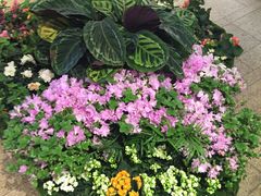 -上海昆虫博物馆