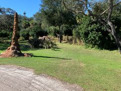 -奥兰多迪士尼动物王国乐园