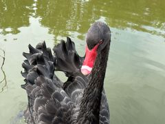 -南大港湿地风景区