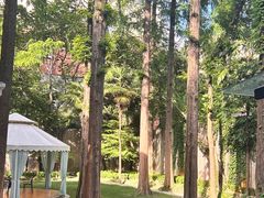 -和平官邸·花园餐厅(武定西路店)
