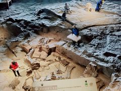 -自贡恐龙博物馆