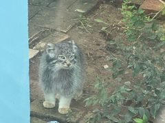 -青藏高原野生动物园