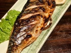 盐烤青花鱼-明日叶日本料理(新区淮海街店)