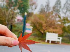 -花开海上生态园