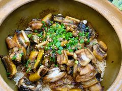 金牌黄鳝饭-红星光发煲仔饭(文海店)
