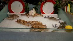 android_upload_pic-阳光五洲大酒店·宴会厅