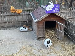 -清河半岛温泉度假酒店