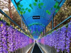 -浏阳石牛寨风景区