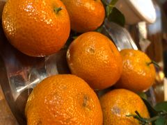 -滇福记天麻竹荪鸡火锅