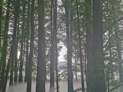 -东湖落雁景区