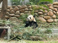 -石排湾郊野公园