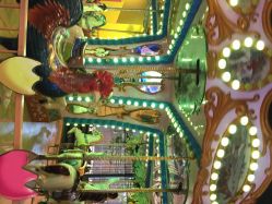 卡通尼乐园(金桥广场店)-卡通尼·Safari非洲探索乐园·生日会(金桥国际商业广场店)