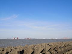-上海滨江森林公园