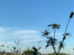 -迪茵湖田家舍生态农场