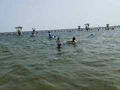 -碧海金沙