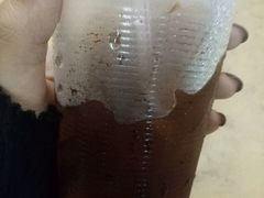 -罗汉果龙眼冰糖燉冬瓜