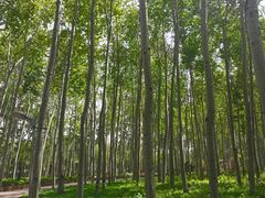 -仁和公园(顺义区)