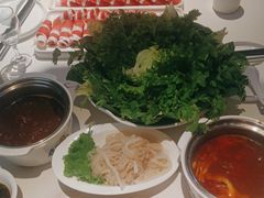 -蒙都43°9羊火锅·赤峰美食(宁城店)