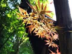 -汇龙潭
