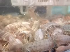 -阳江餐厅·30年老字号·粤菜海鲜大排档