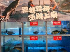 -田园印象·成都土菜院子(华阳店)