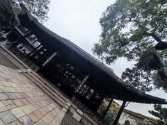 -何园