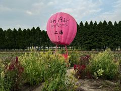 -嘉北郊野公园