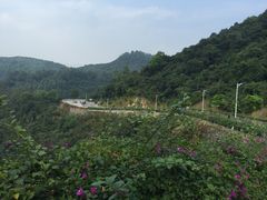 -火炉山森林公园