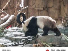 -泉州海丝野生动物世界