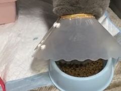 -拜鲁耶动物诊疗中心·宠家动物医院