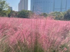 -艾溪湖湿地公园