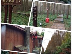 怡沁园度假村-上海怡沁园度假酒店