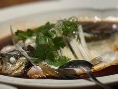 -宁波柏悦酒店·钱湖渔港